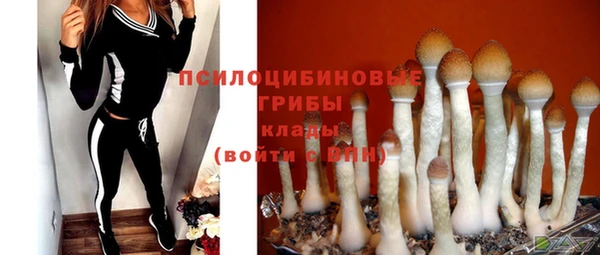 прущая мука Бугульма