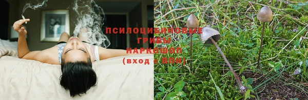 скорость mdpv Верхний Тагил